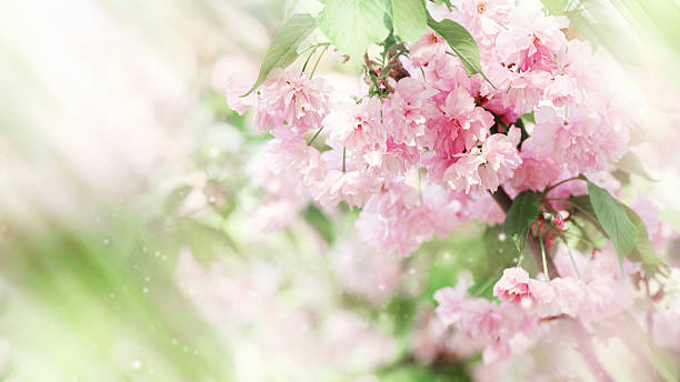 婚活コラム画像